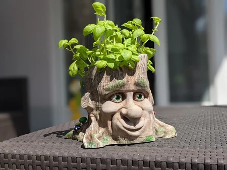 Cartoon-Style Tree Face Planter