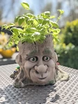  Cartoon-style tree face planter  3d model for 3d printers