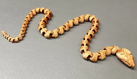 Articulated Snake with Scales