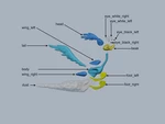 Modelo 3d de Correcaminos para impresoras 3d