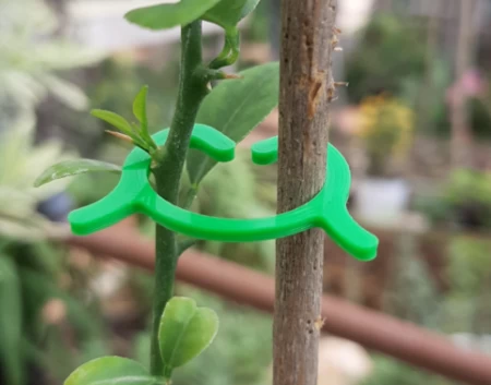 Modelo 3d de Clips para plantas para impresoras 3d