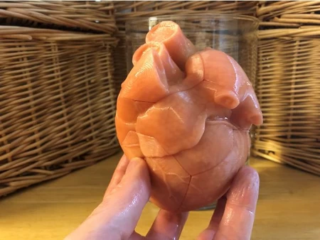 Modelo 3d de Rompecabezas anatómico del corazón para impresoras 3d