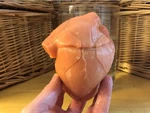  Anatomical heart puzzle  3d model for 3d printers