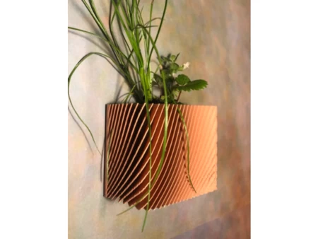 Fin Vases Pot (With a Wall Mount)