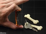  Flexible bone keychain  3d model for 3d printers