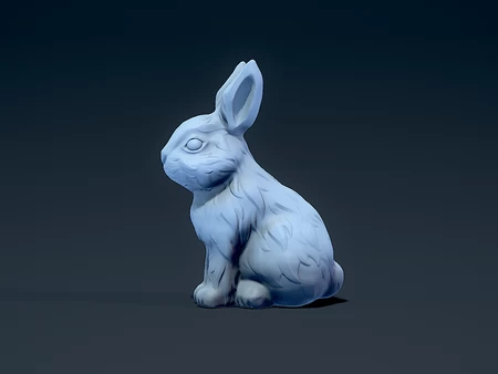 Rabbit