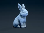  Rabbit  3d model for 3d printers
