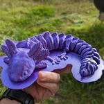  Articulated axolotl  3d model for 3d printers