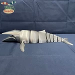  Flexi humpback whale - new type(print-in-place)  3d model for 3d printers