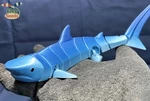  Flexi tiger shark (print-in-place)  3d model for 3d printers