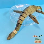  Flexi plesiosaurus(print-in-placeiosaurus)  3d model for 3d printers