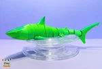 Modelo 3d de Juego de tiburón y martillo flexi para impresoras 3d