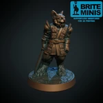  Catfolk with sword (supportless, fdm friendly)  3d model for 3d printers