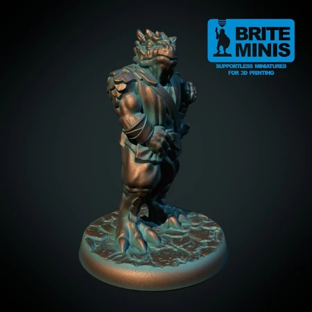  Dragonborn 28mm (supportless, fdm friendly)  3d model for 3d printers