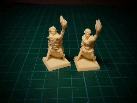  Generic adventurer 28mm (no supports needed)  3d model for 3d printers