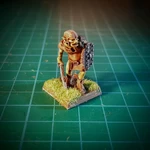  Goblin 2 with sabre 28mm (no supports)  3d model for 3d printers