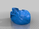  Human skull  3d model for 3d printers