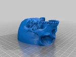 Modelo 3d de Human skull para impresoras 3d