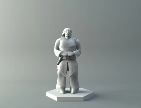 Modelo 3d de Human - d&d miniature para impresoras 3d