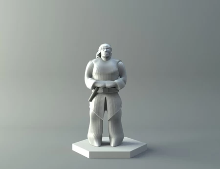 Human - D&D miniature