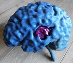 Modelo 3d de Resonancia magnética del cerebro para impresoras 3d