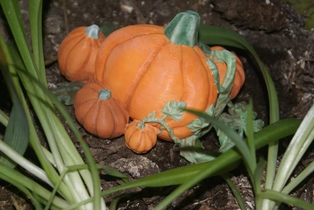 Halloween Pumpkin Patch