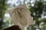 Modelo 3d de Trilobite más que un litófano para impresoras 3d