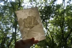  Camellia more-than-a-lithophane  3d model for 3d printers