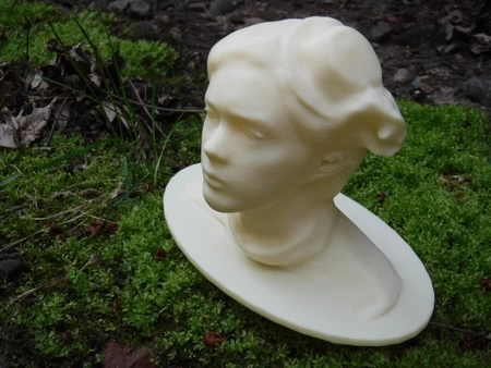  Bust of yours truly  3d model for 3d printers
