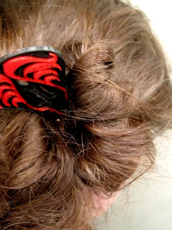 Art Nouveau Hair Ornaments