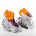  Sneakerbot in filaflex by recreus  3d model for 3d printers