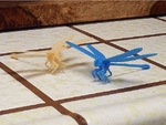  Dragonfly business card  3d model for 3d printers