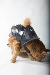  Cat armor  3d model for 3d printers