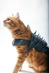  Cat armor  3d model for 3d printers