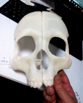 Modelo 3d de Máscara de cráneo para impresoras 3d