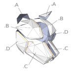 Modelo 3d de Baja poli lobo mascara de papel para impresoras 3d