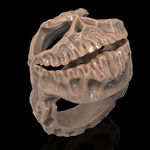  Skull ring skeleton ring jewelry 3d print model  3d model for 3d printers