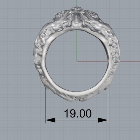 Skull ring ring jewelry 3D print model
