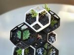 Modelo 3d de Plantygon - modular geométrica de apilamiento maceta para plantas suculentas para impresoras 3d