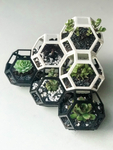  Plantygon - modular geometric stacking planter  3d model for 3d printers