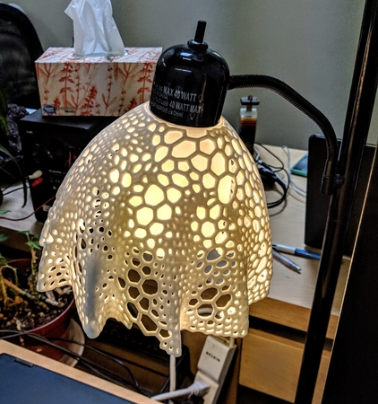  Voronoi flower lampshade  3d model for 3d printers