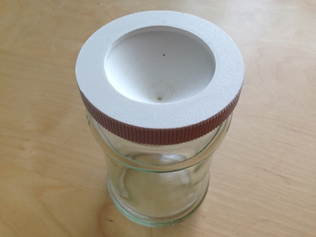 Fruit fly trap