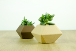  Low poly planter  3d model for 3d printers