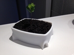  Bonsai pot  3d model for 3d printers