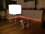  Japanese ricepaper lamp  3d model for 3d printers