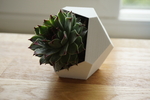  Succulent planter (dodecahedron)  3d model for 3d printers