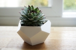  Succulent planter (dodecahedron)  3d model for 3d printers