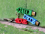 Peter usb case with keychain  3d model for 3d printers