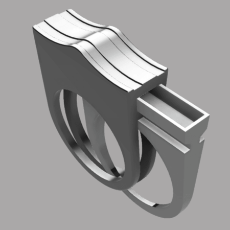  Hidden ring  3d model for 3d printers