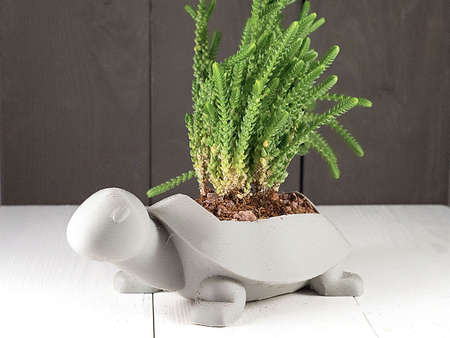 Turtle Planter